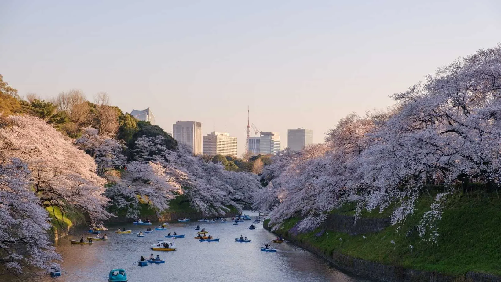 When is the best time to visit Japan?